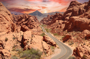 LIGGIC,LLC - ロサンゼルスカメラマン・ツアーコーディネーター・車両手配会社です。