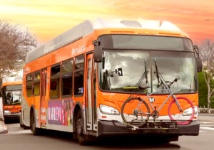 LosAngelesMetroBuses