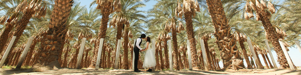 LosAngeles PhotoWedding